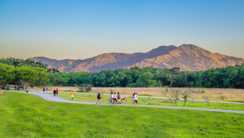 Cinema na natureza: Gericine realiza primeira edição de exibições gratuitas no Parque Natural do Gericinó