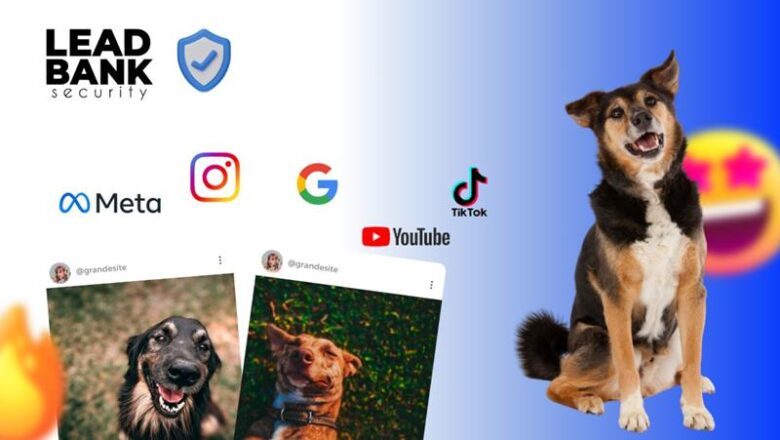 Lead Bank Security: Como Reativar Sua Conta por Divulgação de Animais