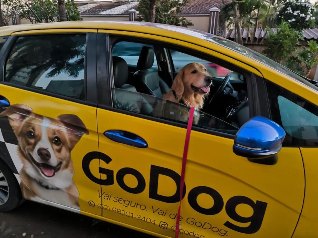 GODOG - FOTO DIVULGAÇÃO