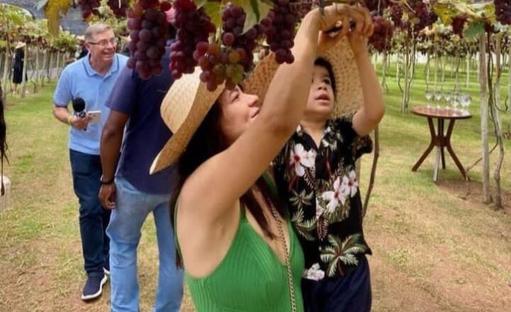 Vila Don Patto anuncia sua quinta edição da tradicional festa da “Colheita da Uva”