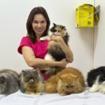 Letícia Alves exalta sua paixão e dedicação ao mundo pet com atendimento às reaças dos felinos