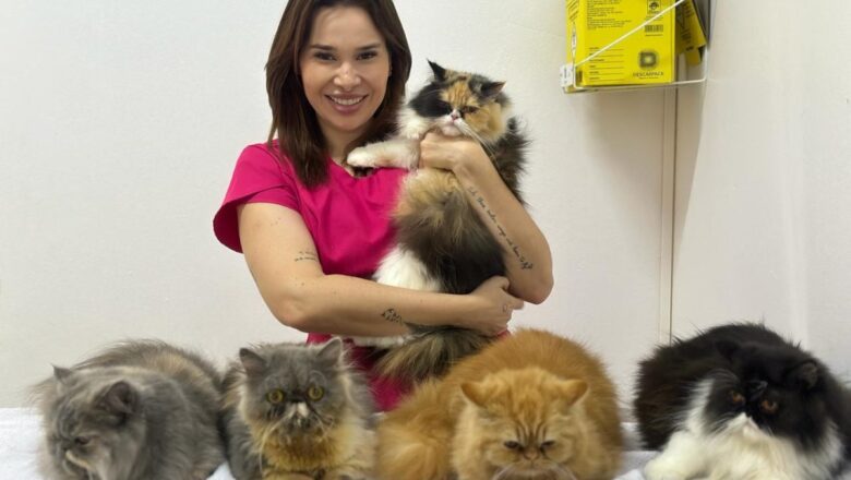 Letícia Alves exalta sua paixão e dedicação ao mundo pet com atendimento às reaças dos felinos