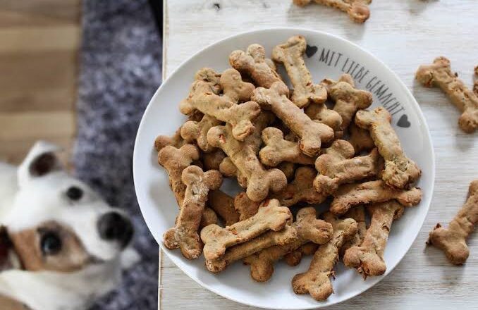 Quais os melhores petiscos para cachorros?