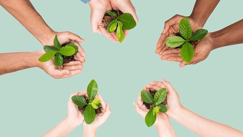 Organização reúne Grupo Boticário, Vale e Petrobrás para conservar biodiversidade global
