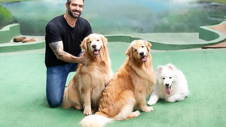 Socialização e etiqueta ajudam a moldar pets mais equilibrados e seguros