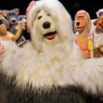 “TV COLOSSO, O MUSICAL” arrasta multidões ao teatro e celebra sucesso em turnê nacional