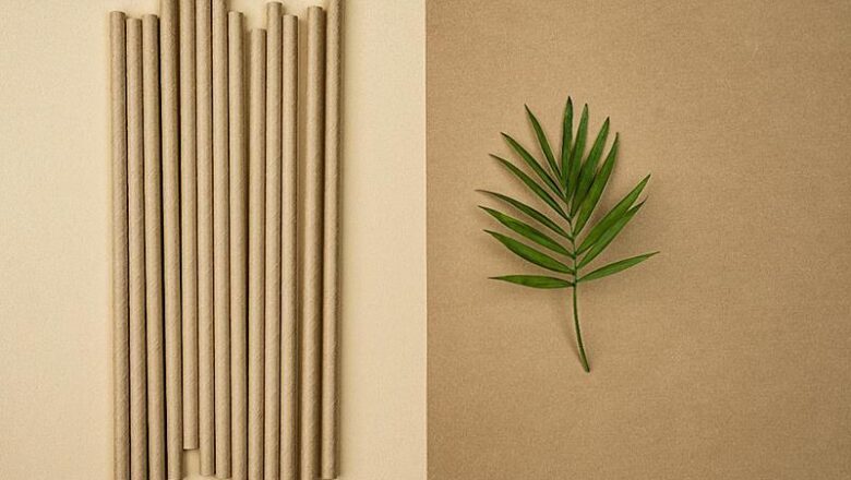 Canudos de papel e millenials: quem ganha a guerra do ESG?