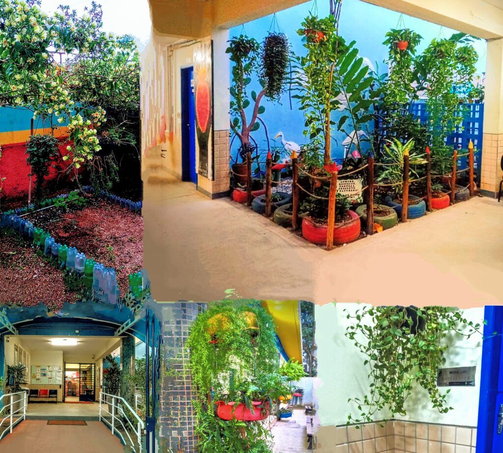 Foto/Arquivo da Escola