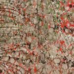 A Saphira & Ventura Gallery apresenta a exposição Transições Urbanas
