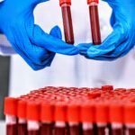 Japão desenvolve sangue artificial compatível com todos os tipos sanguíneos: revolução médica pode chegar aos hospitais até 2030