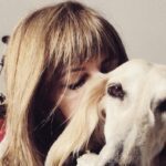 Quando o silêncio cura: Reiki fortalece vínculos entre humanos e pets