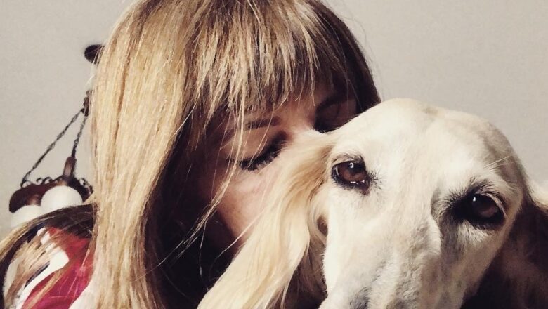 Quando o silêncio cura: Reiki fortalece vínculos entre humanos e pets