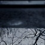 Sandra Gonçalves apresenta a exposição ‘Tessituras do Adeus’, com imagens impactantes que oferecem um mergulho profundo nas complexidades da vida e da morte