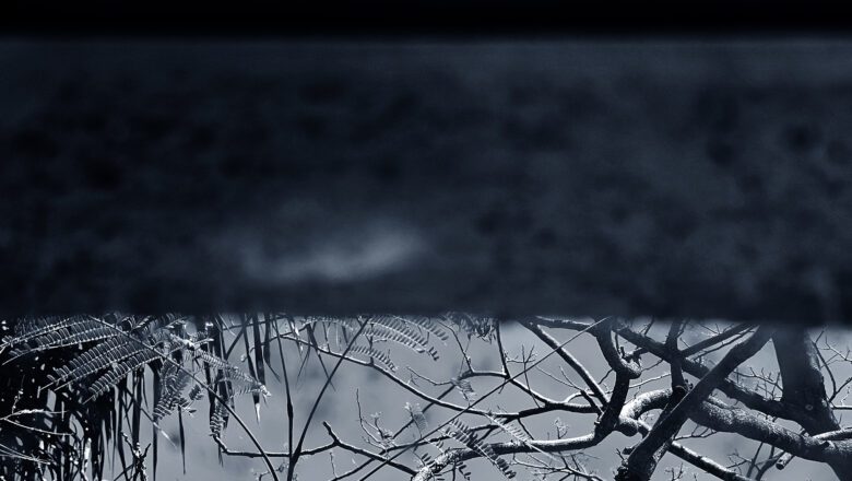 Sandra Gonçalves apresenta a exposição ‘Tessituras do Adeus’, com imagens impactantes que oferecem um mergulho profundo nas complexidades da vida e da morte