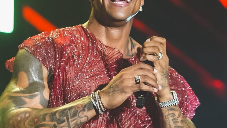 Artistas e influenciadores prestigiam edição histórica do Baile da Santinha