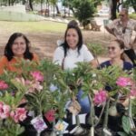 Evento gratuito na Parangaba celebra o Dia da Mulher com plantas, moda e bem-estar