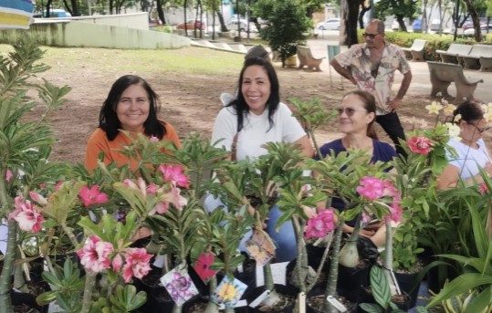 Evento gratuito na Parangaba celebra o Dia da Mulher com plantas, moda e bem-estar