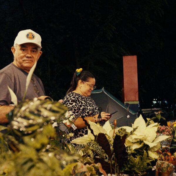 Cactos, suculentas e orquídeas atraem público para feira especial no Parque Rio Branco