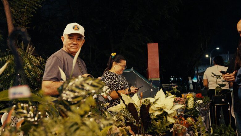 Cactos, suculentas e orquídeas atraem público para feira especial no Parque Rio Branco