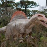 Dos R$ 50 milhões investidos aos 170 mil m²: os números que traduzem o novo parque Terra dos Dinos de Campos do Jordão