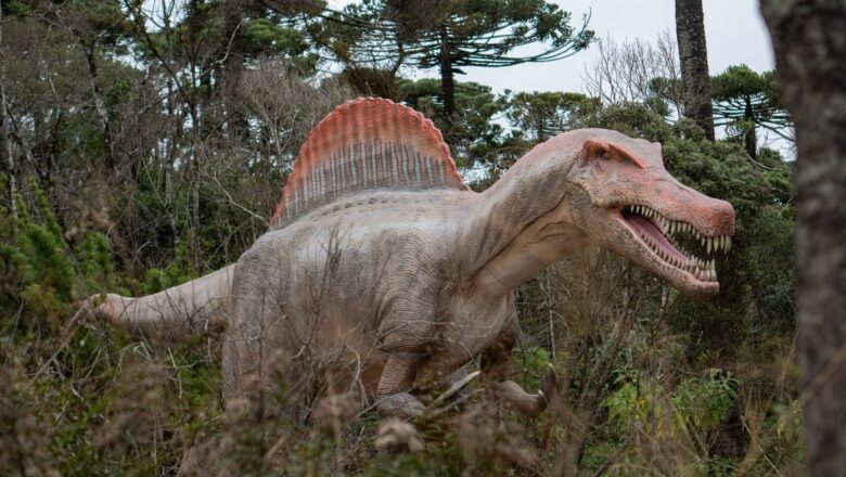 Dos R$ 50 milhões investidos aos 170 mil m²: os números que traduzem o novo parque Terra dos Dinos de Campos do Jordão