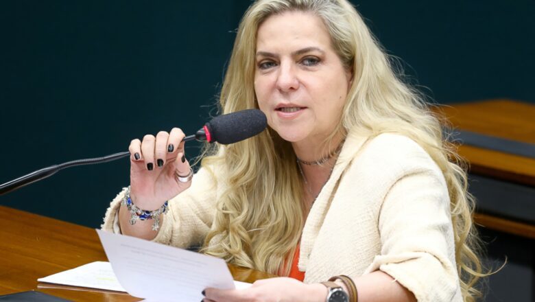 Luizianne Lins apresenta agenda para enfrentar desafios ambientais e sociais do Ceará