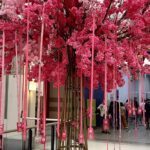 Árvores rosas em shoppings de Goiás chamam atenção para os 2,1 mil casos de câncer de mama previstos no estado