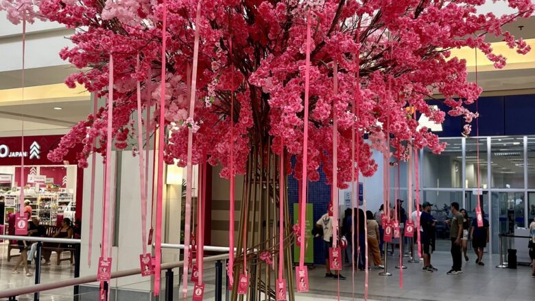 Árvores rosas em shoppings de Goiás chamam atenção para os 2,1 mil casos de câncer de mama previstos no estado