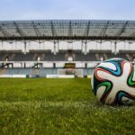 Palmeirenses já podem adquirir pacote de viagem para a final da Libertadores